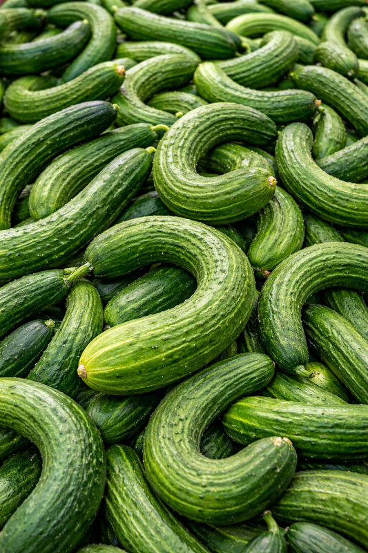 Curly Local Cucumber - Sold by lb