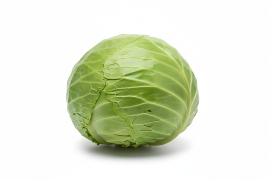 Local Green Cabbage