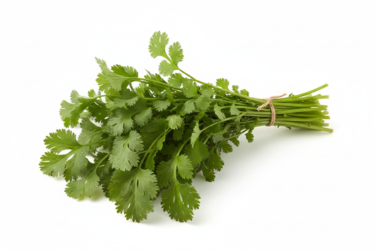 1 Bunch - Fresh Cilantro
