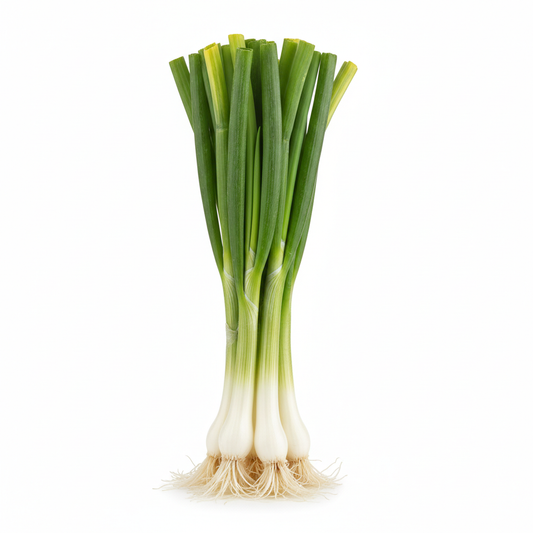 Fresh bunch of green onions