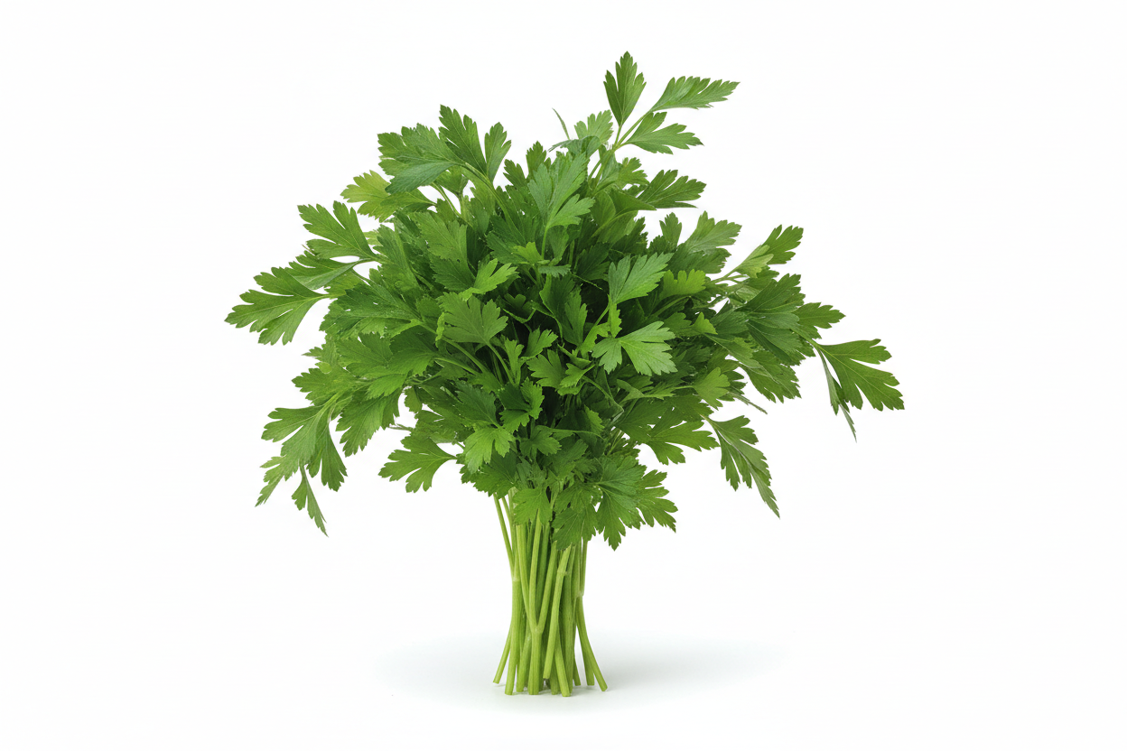 1 Bunch - Fresh Italian Parsley