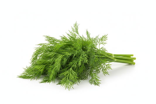 Herb - Dill Bunch