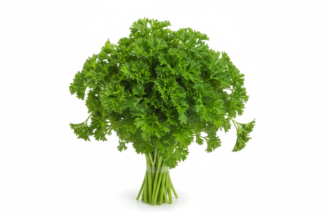 1 Bunch - Fresh Curly Parsley