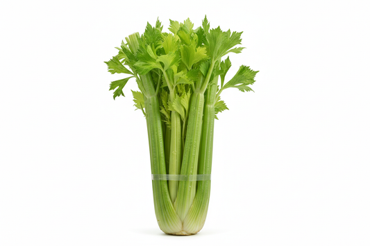 1 PC - Premium Green Celery